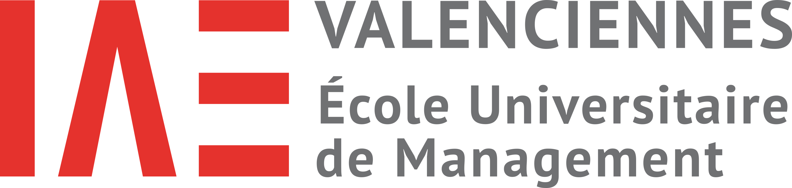 iae valenciennes